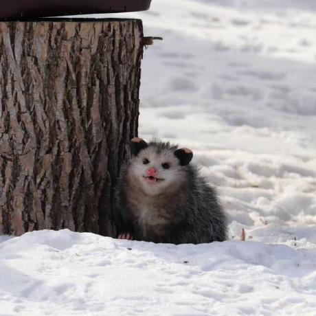 Bryanr6 Bryan Ramos Github - Best Vintage Illustrations in Desktop