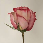 Sorcererkilier Kieran Github - Premium Dark Picture Gallery - HD