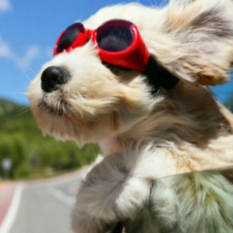 Maithilishetty Maithili Shetty Github - Download Creative Ocean Art | Mobile