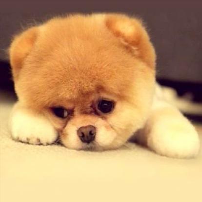 Github Lquifi Vagos - Gorgeous Ocean Art - HD