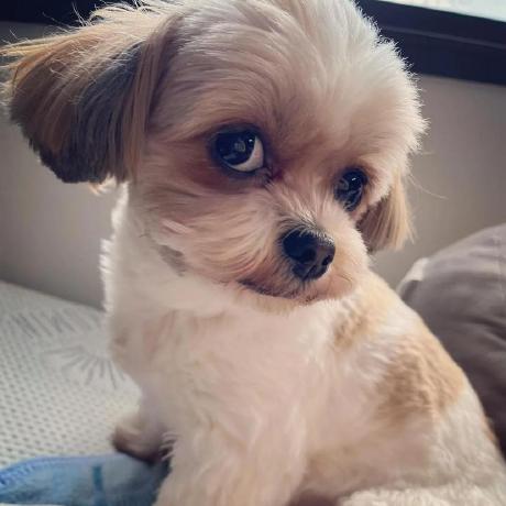 Rskwan Ronald Kwan Github - Space Art Collection - HD Quality