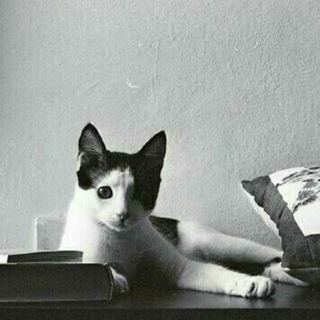 Yuer Github - Nature Backgrounds - Beautiful HD Collection