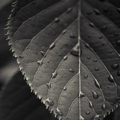 Heta Project Github - Elegant Mobile Nature Photos | Free Download