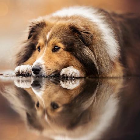 Lisbeth Tejada2 Lisbeth Tejada Acevedo Github - Premium Minimal Picture Gallery - 4K