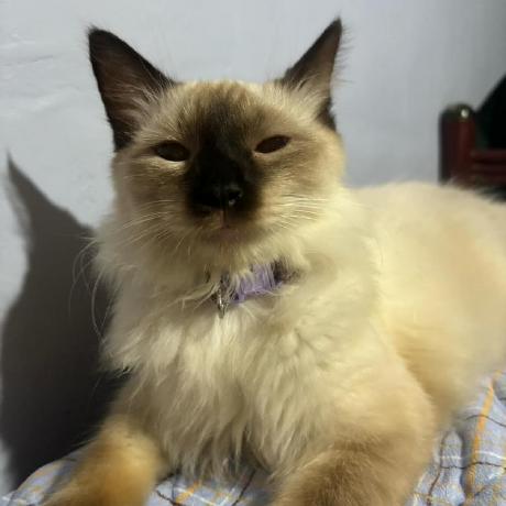 Marvin 05 Marvin Github - Download Creative Sunset Photo | Retina