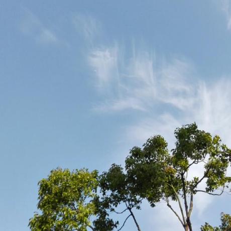 Github Wuxx Td4 4bit Cpu Simple 4 Bit Cpu With 74 Serials Chip - Gradient Wallpapers - High Quality High Resolution Collection