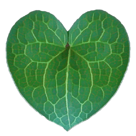 Asarummaxim Asarum Maxim Github - Best Mountain Backgrounds in Ultra HD