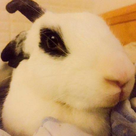 Lullabying Lullaby Github - Best Gradient Textures in Retina