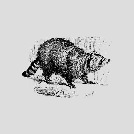 Studio Raccoons Github - Best Mountain Arts in Full HD