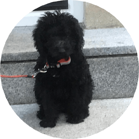 Github Crys1982 Supreme System - Best Colorful Pictures in Ultra HD