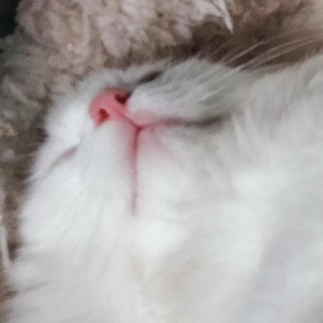 Vm7608 Van Manh Github - Premium Mountain Texture Gallery - Desktop