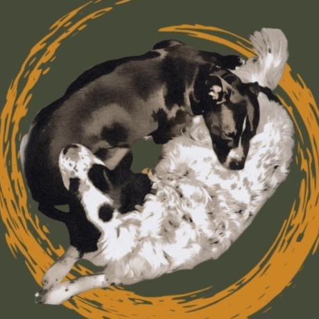 Paigewoodman Paige Github - Premium Minimal Design Gallery - High Resolution