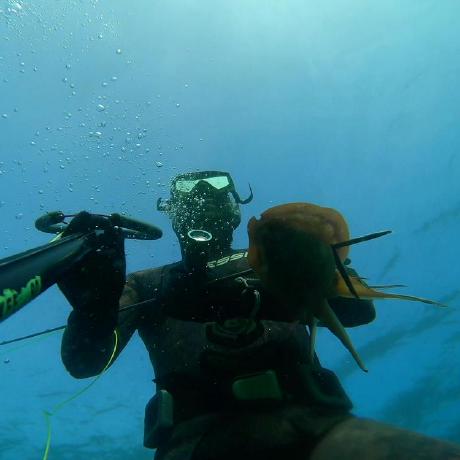 Github Sapiens Solutions Proplum - Sunset Image Collection - High Resolution Quality