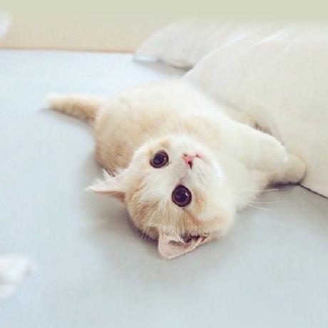 Vanessayukari Vanessa Yukari Github - Download Beautiful Colorful Picture | 4K