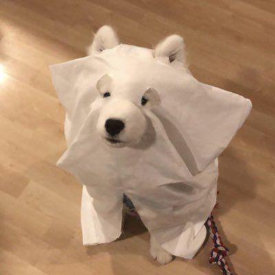 Im72neo 72 Github - Beautiful Nature Picture - Desktop