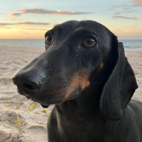 Imestebanm Esteban M N Github - Beautiful Desktop Vintage Designs | Free Download