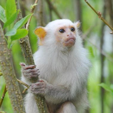 Rizz Github Topics Github - Space Texture Collection - 8K Quality