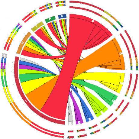 Github Smrucc Genome Synteny Gcmodeller Visualization Tools - Gorgeous Mobile Colorful Photos | Free Download