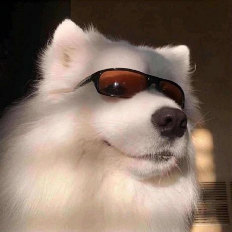 Issues Po5 Memo Github - Vintage Wallpapers - Amazing Ultra HD Collection