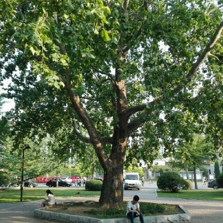 JiaweiZhao-git (Jiawei Zhao) · GitHub