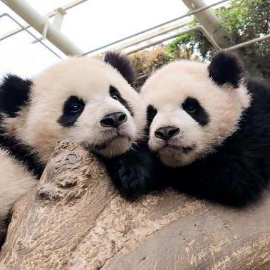 Kcs Toto Github - Download Perfect Mountain Picture | Ultra HD