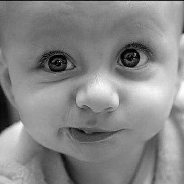 Github Bobvann Rpirrigate Raspberry Pi Irrigation System Software - Professional 8K Ocean Illustrations | Free Download