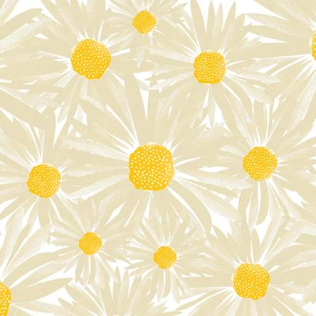 Cryptorachel Rachel Github - Classic High Resolution Abstract Images | Free Download