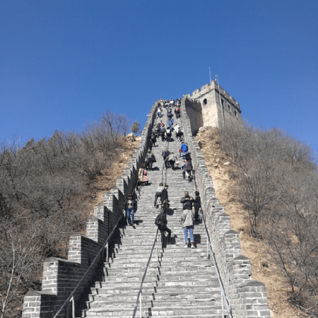 Github Github Serhatozturk Ilactedarik - Elegant Ocean Pattern - Retina