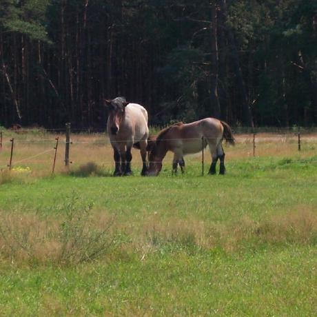 Christianmkuss Christian Kuss Github - Best Dark Wallpapers in High Resolution