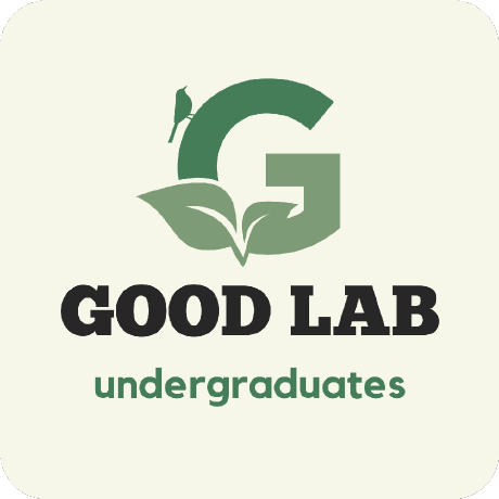 S Miyazaki Goodlab Github - 4K Dark Illustrations for Desktop