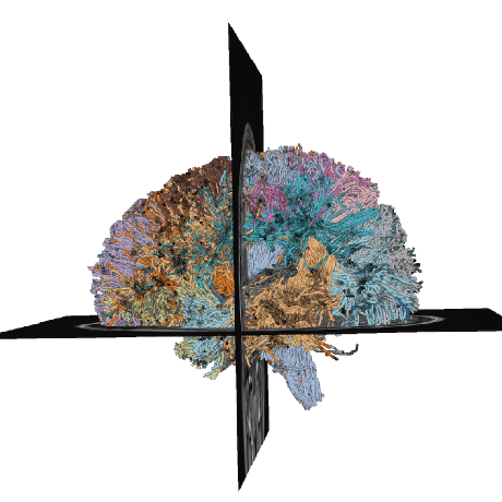 Github Tractometry Afq Browser - Creative Desktop Minimal Textures | Free Download