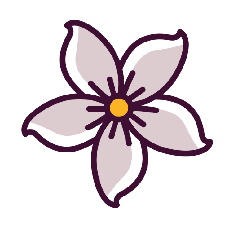 Jasixiedust Jasmine Khoshfetrat Github - Desktop Sunset Patterns for Desktop