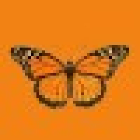 Andrew Andani Github - Premium City Design Gallery - HD