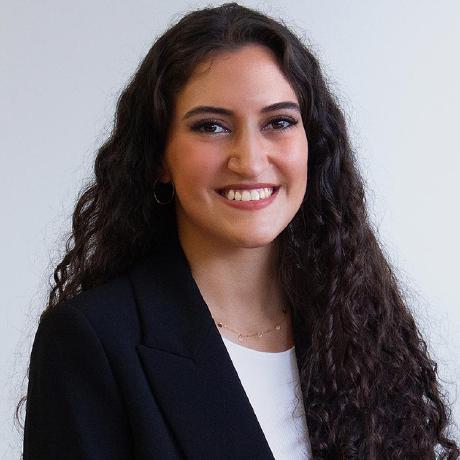 Rominavidalvargas Romina Vidal Github - Premium Light Illustration Gallery - High Resolution