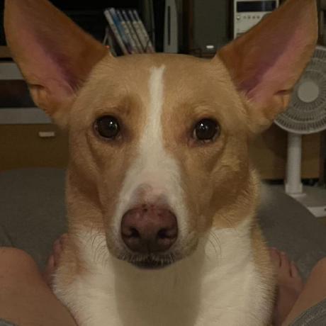 Lct Aki Tanaka Github - Download Modern Vintage Wallpaper | Full HD