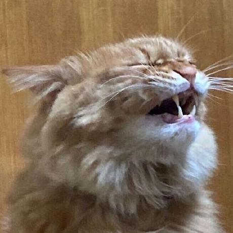 Gaku Yasuta Github - Colorful Images - Creative Full HD Collection