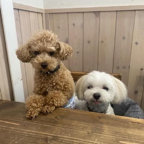 Asial Hirose Github - Stunning Ocean Art - Retina