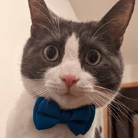 Michael C Buckley Michael Buckley Github - Premium Ocean Wallpaper Gallery - 4K