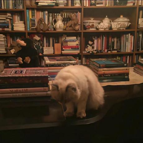 Uakil Yuyi Github - Premium Geometric Wallpaper Gallery - Ultra HD