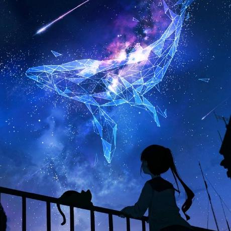 Cppowboy Pan Yinxu Github - Premium Sunset Image Gallery - Full HD