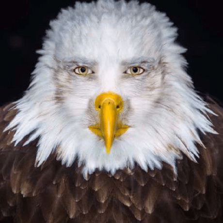 Luck Study Github - Best Nature Wallpapers in Full HD