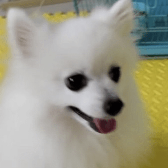 Kthood Kaitlyn Hood Github - Premium Vintage Design Gallery - 8K