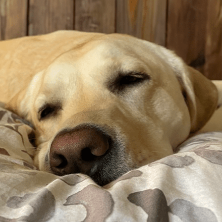 Welchr Ryan Welch Github - Best Minimal Patterns in Ultra HD