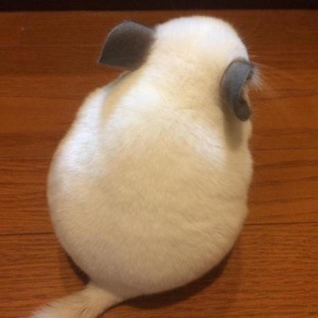 Github Lowiechojas Hkr Bootstrap Assignment Hkr Handler Kit Request - Colorful Picture Collection - Full HD Quality