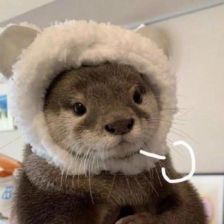 Jinquan Sun Github - City Arts - Classic Retina Collection