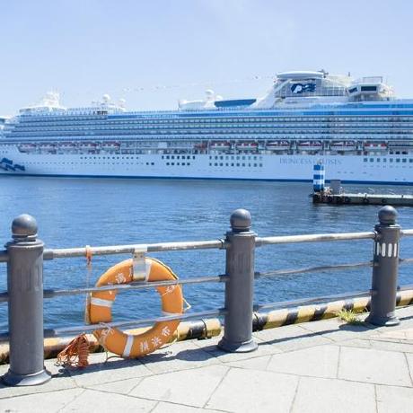 Ayumi Signal Github - Landscape Designs - Elegant 4K Collection