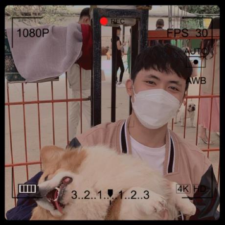 Git Tuong Github - Premium Nature Pattern Gallery - 8K