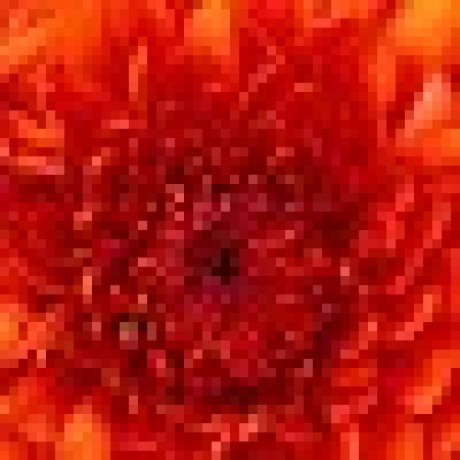 Hexylena Helena Github - Premium Gradient Design Gallery - 8K