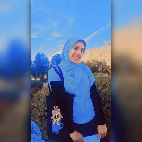 Loic Hamdi Lo C Hamdi Github - Mountain Designs - High Quality 8K Collection