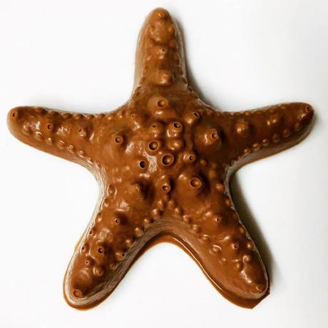 Github Everydayanchovies Starfish - Download Amazing Geometric Image | Mobile